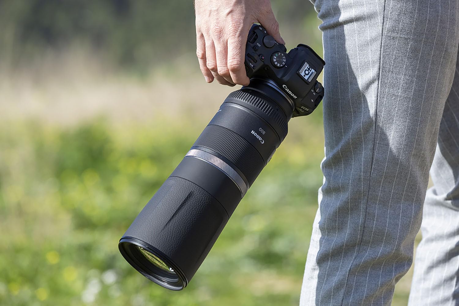 Amazon.com : RF 800mm F11 is STM : Electronics
