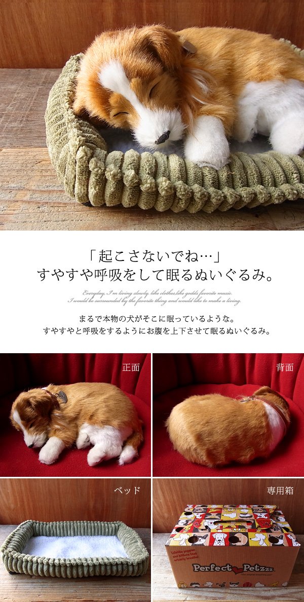 Amazon.co.jp: ニニアンドキノ パーフェクトペット (小サイズ