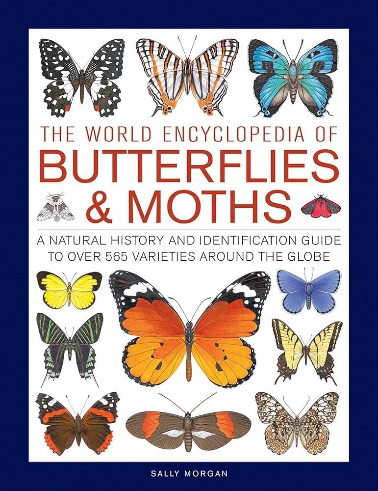 The World Encyclopedia of Butterflies & Moths: A Natural History
