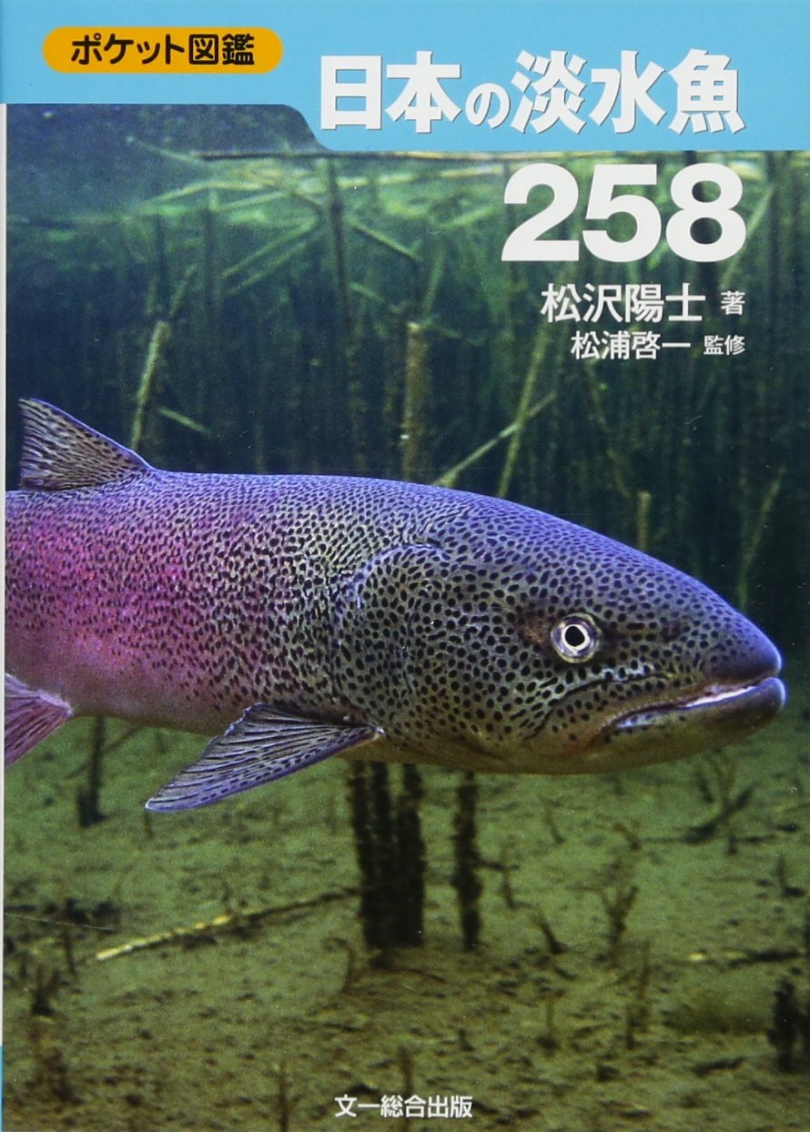 Amazon.co.jp: 日本の淡水魚258 (ポケット図鑑) : 松沢 陽士: 本