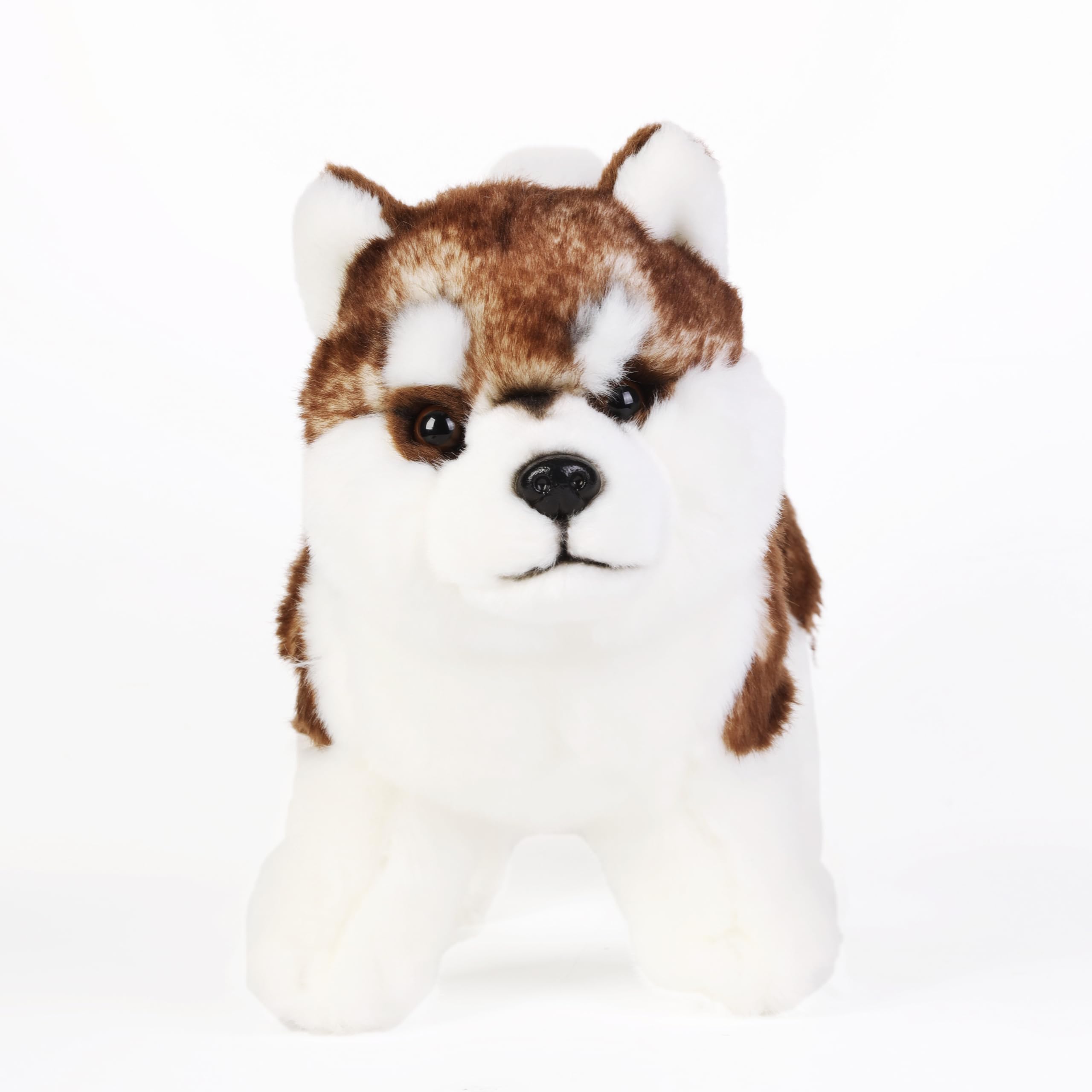 Amazon.co.jp: ハスキーぬいぐるみ犬ぬいぐるみリアルな茶色立ち
