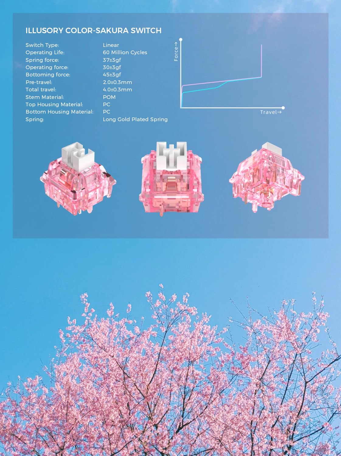 Amazon.com: KPREPUBLIC CIY Illusory Color Sakura Switch Linear