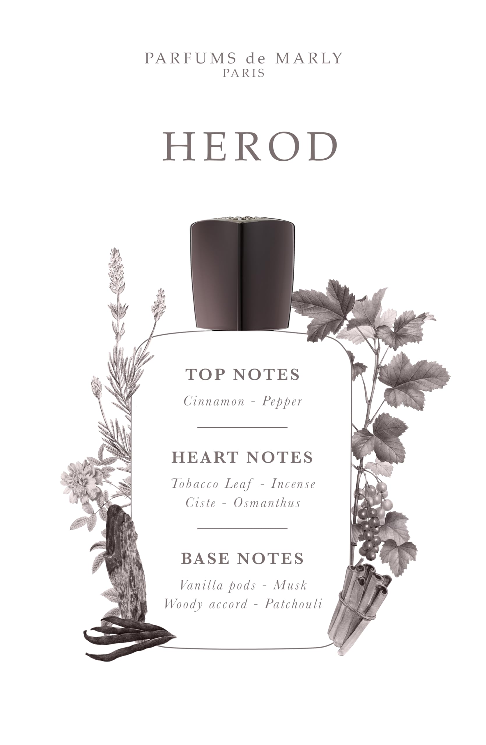 Amazon | パルファンドゥマルリー Herod Eau De Parfum Spray 125ml