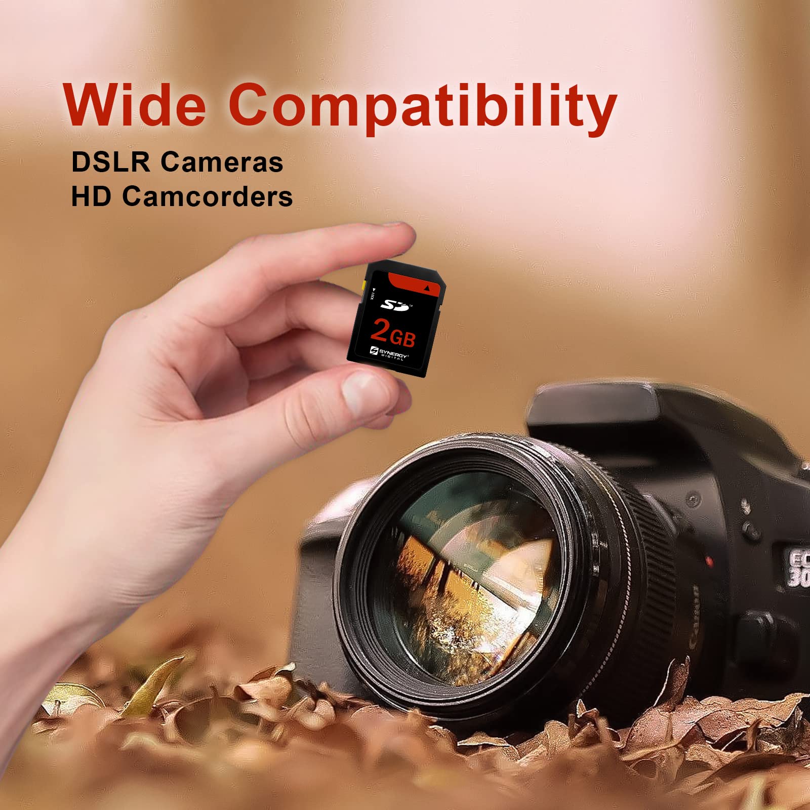 Amazon.com: Canon Powershot SD500 Digital Camera Memory Card 2GB