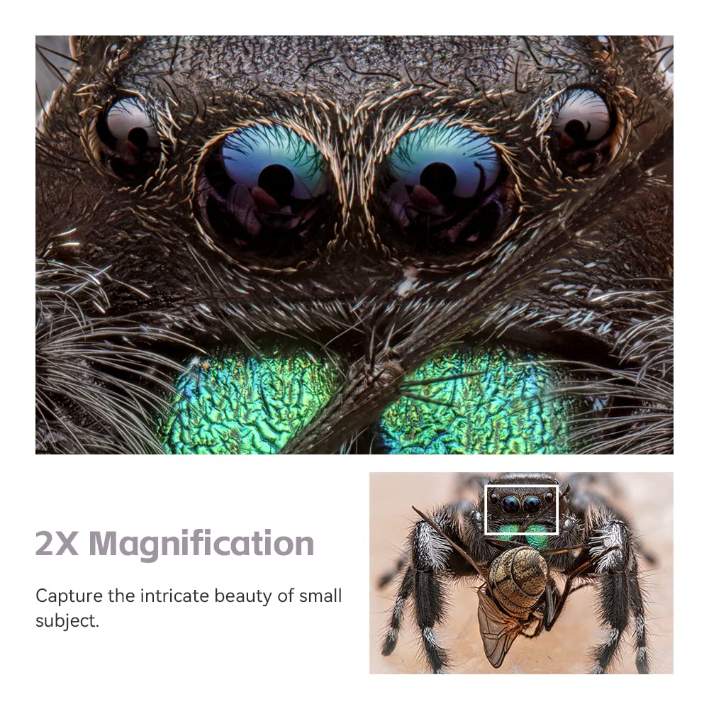 Amazon.co.jp: TTArtisan 100mm F2.8 チルトシフト マクロ 2X フル