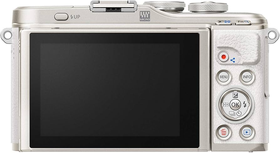 Amazon.com : OM System OLYMPUS Pen E-PL10 White : Electronics