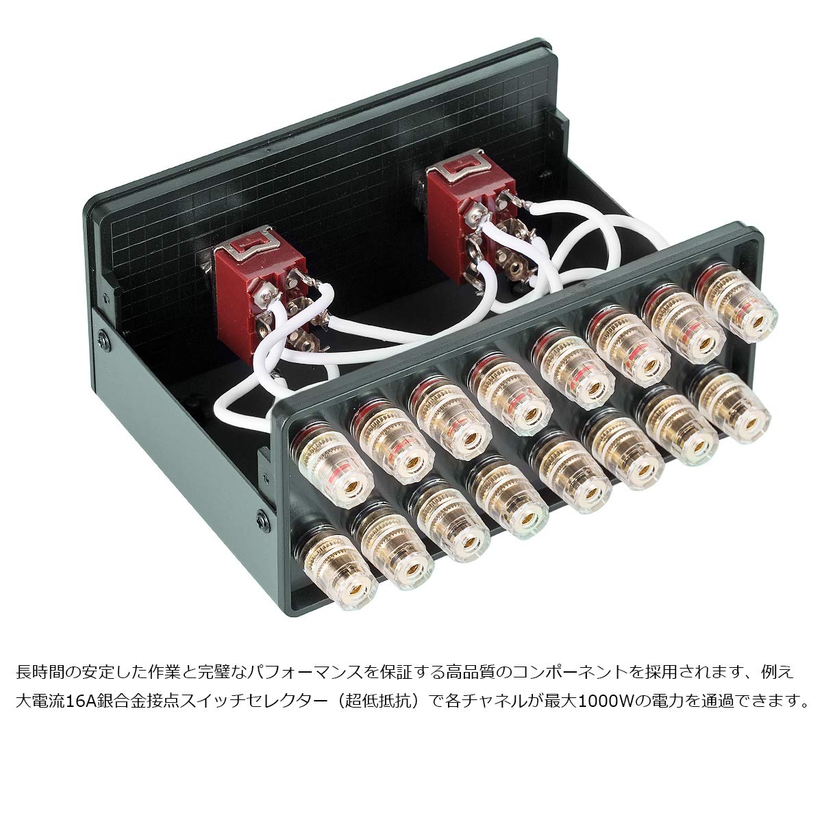 Amazon.co.jp: 2-IN-2-OUT パッシブ パワーアンプ/スピーカー スイッチ
