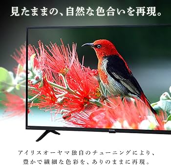 Amazon.co.jp: アイリスオーヤマ 24V型 液晶 テレビ 24WB10PB 2022年