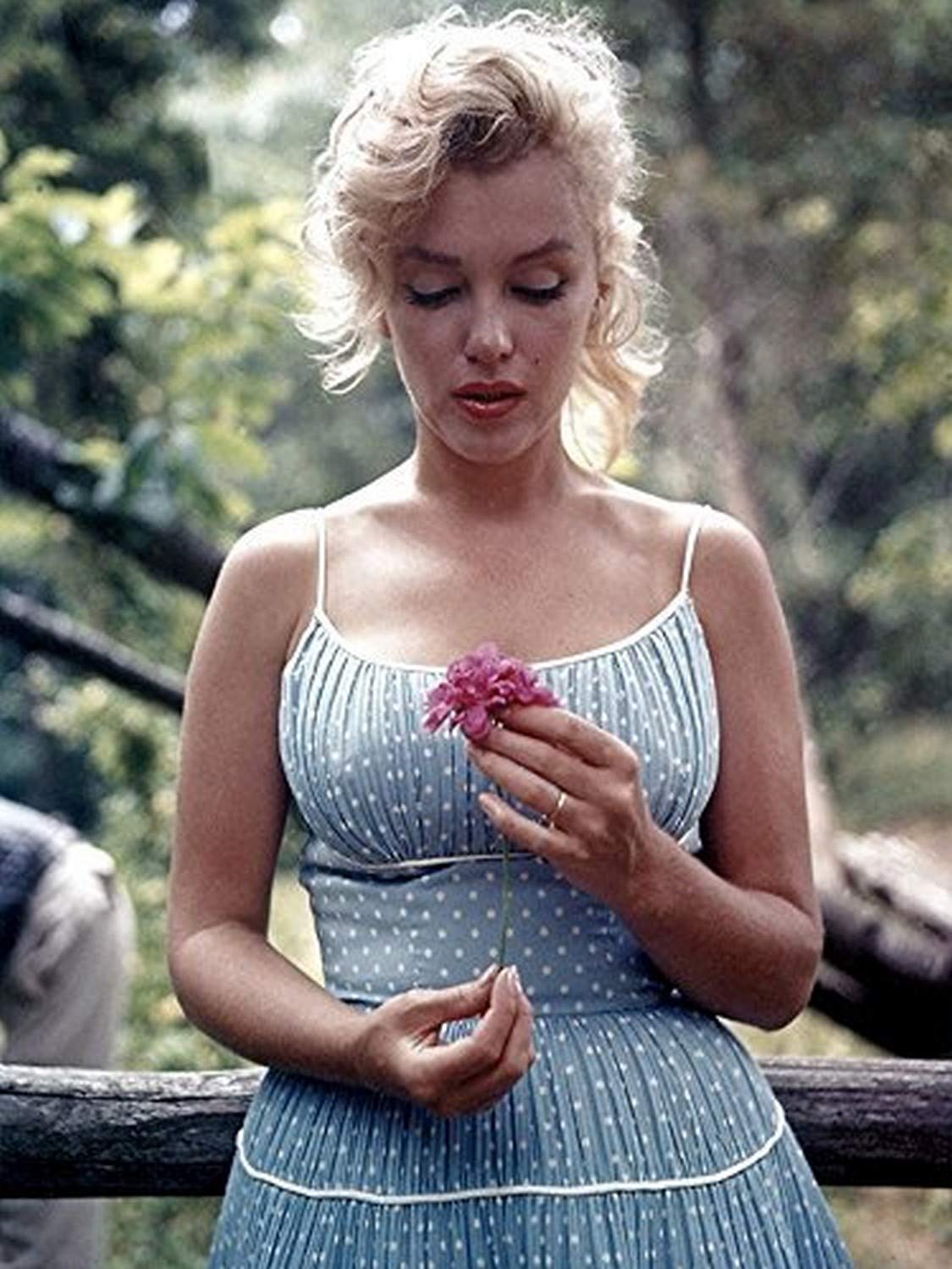 Amazon.co.jp: マリリン・モンローの珍しい写真 花付き 12x16 アート