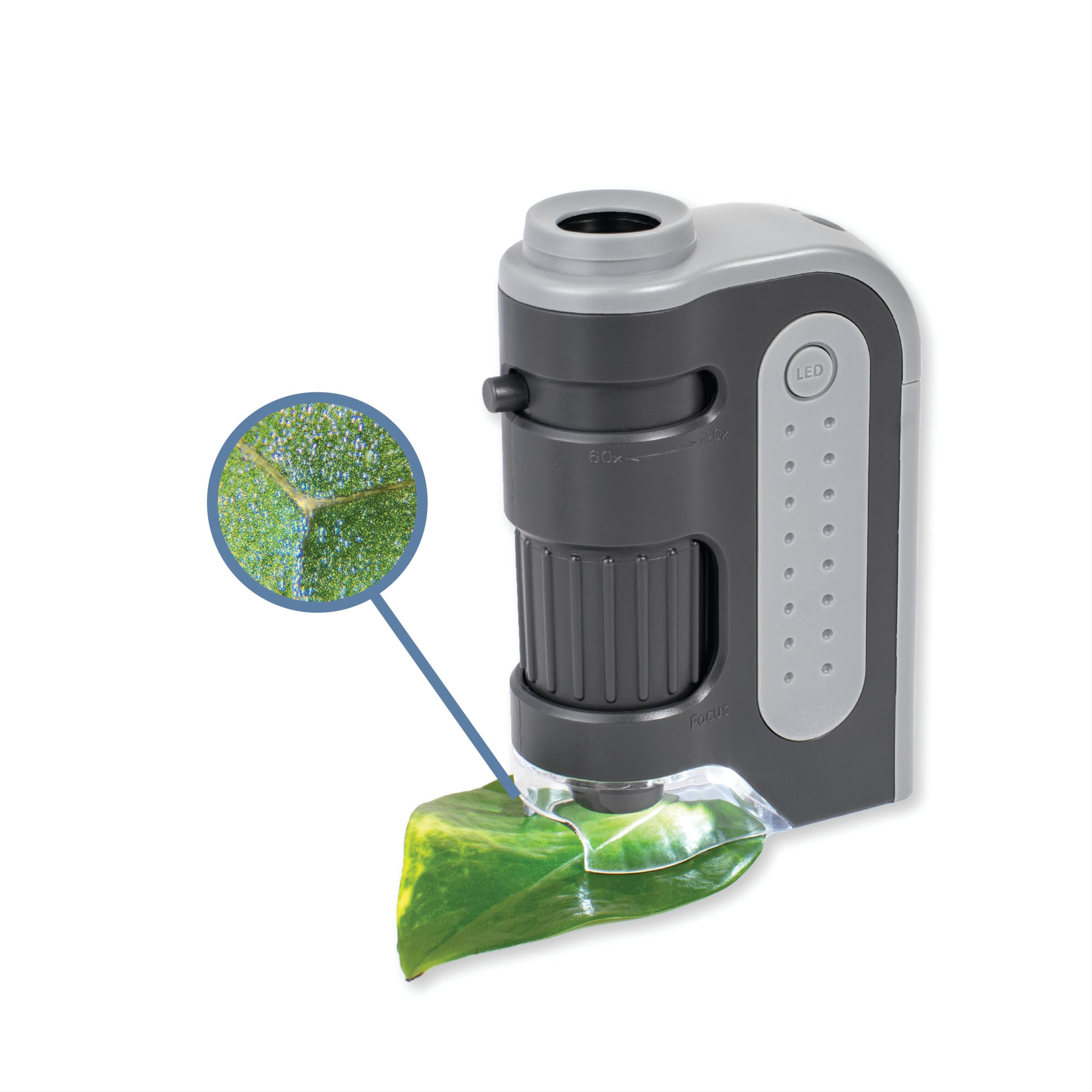 Amazon.com: Carson MicroBrite Plus 60x-120x Accurate LED Lighted
