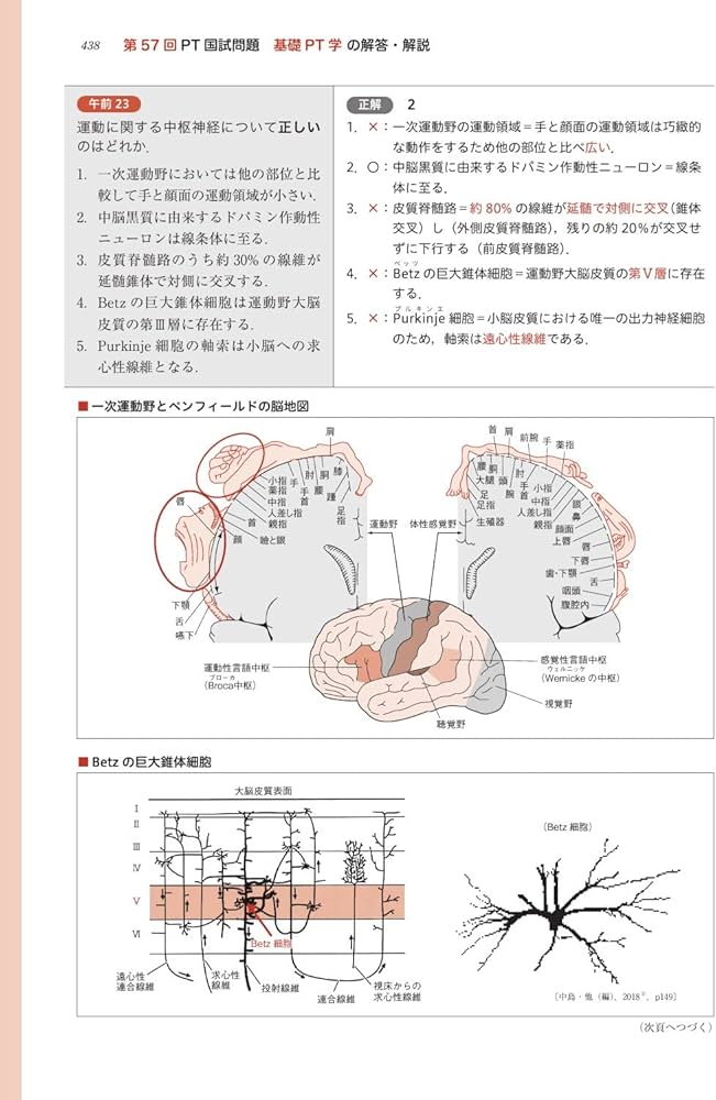 理学療法士・作業療法士国家試験必修ポイント 基礎PT学 2023