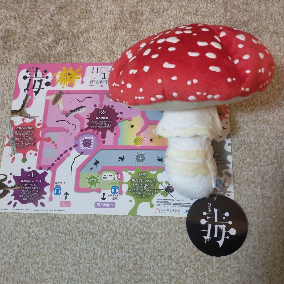 Amazon.co.jp: 毒展 ベニテングタケぬいぐるみ : おもちゃ