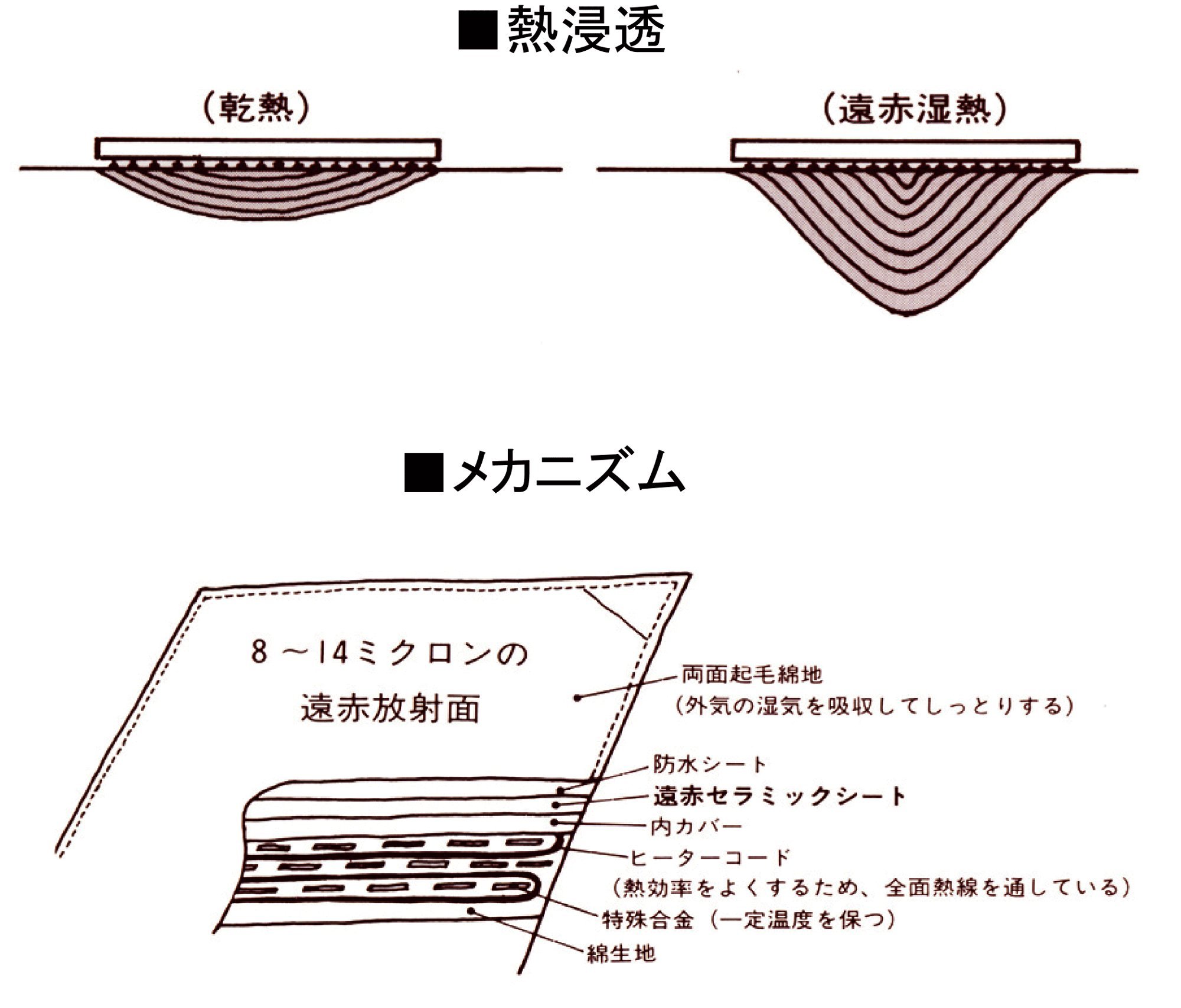 Amazon.co.jp: フィットアンポFA-2 コントローラーなし 丸央産業