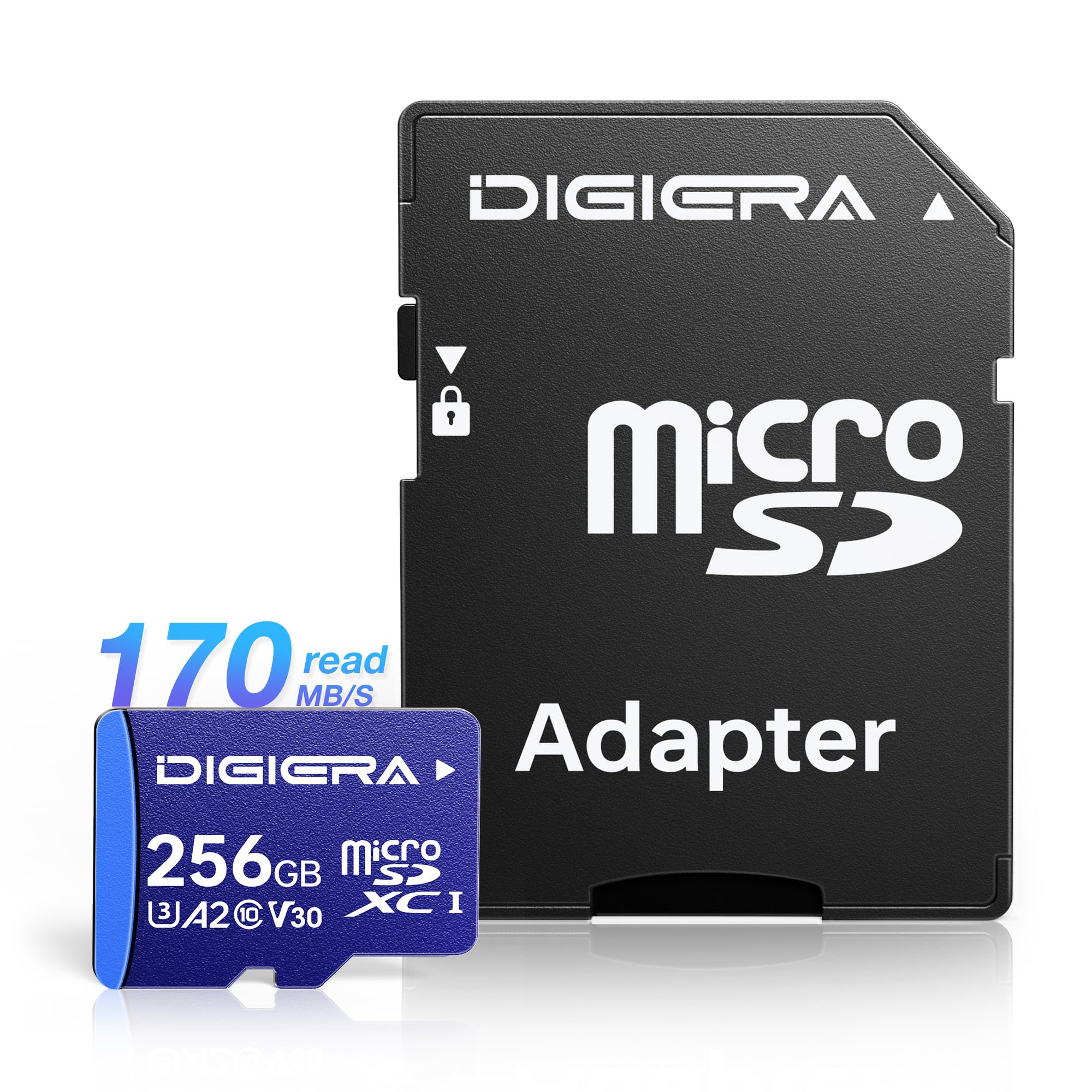 Amazon.com: DIGIERA 256GB LT100 microSDXC UHS-I Memory Card with