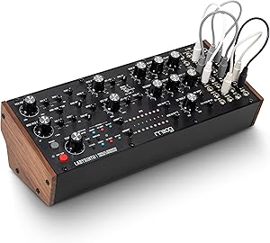 Moog Labyrinth - 迷宮のような創造性を秘めた西海岸スタイルの