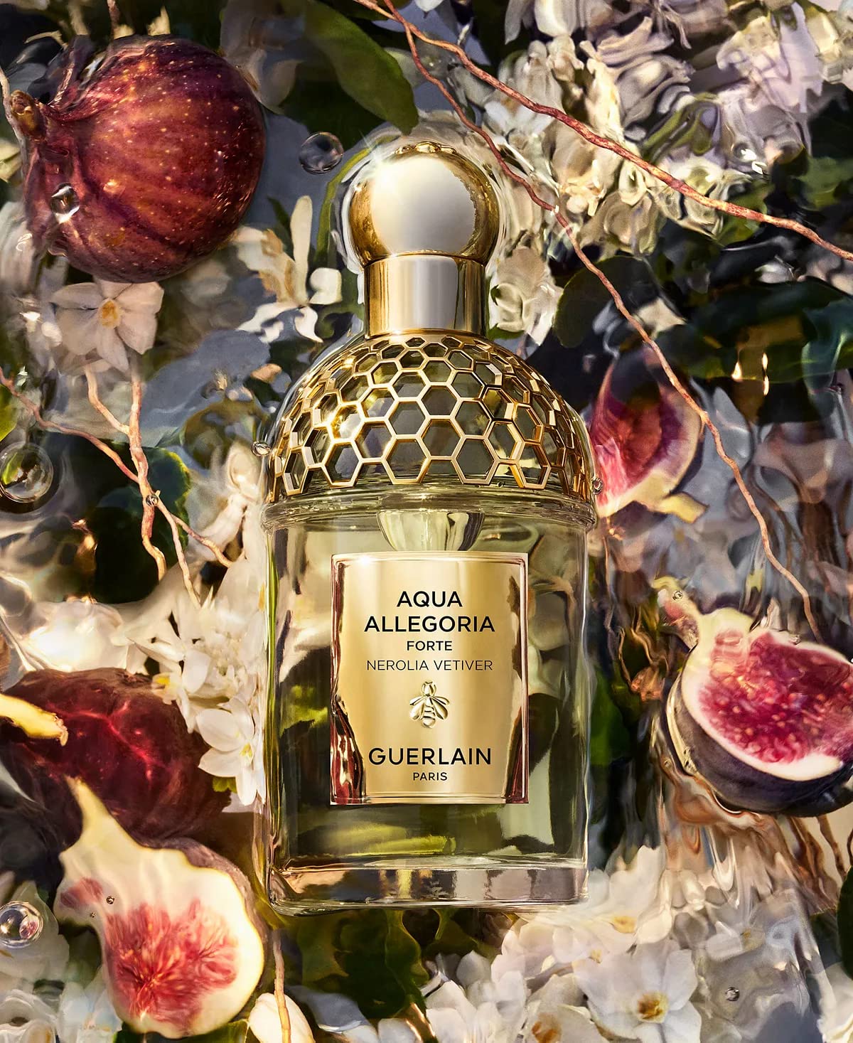 Amazon.com : Guerlain Aqua Allegoria Forte Nerolia Vetiver Eau De
