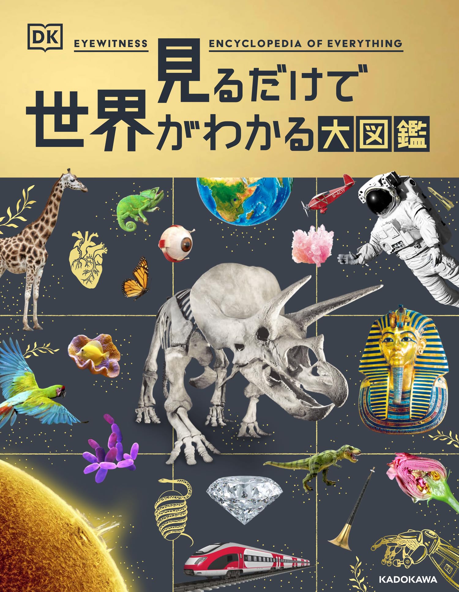 Amazon.co.jp: 見るだけで世界がわかる大図鑑 : DK社: 本