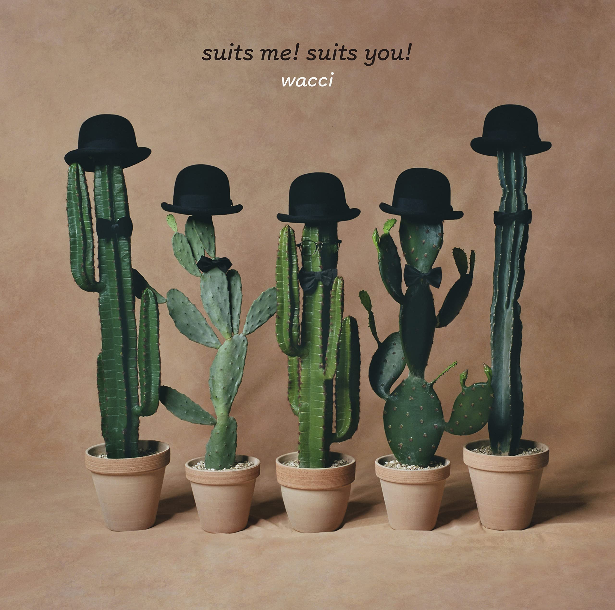 Amazon.co.jp: suits me! suits you! (通常盤) - wacci: ミュージック