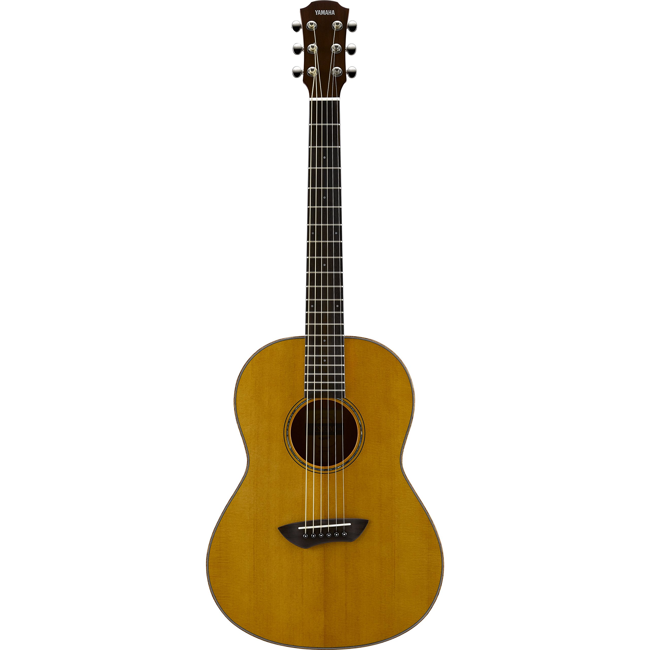 Amazon.co.jp: ヤマハ YAMAHA アコースティックギター ショート