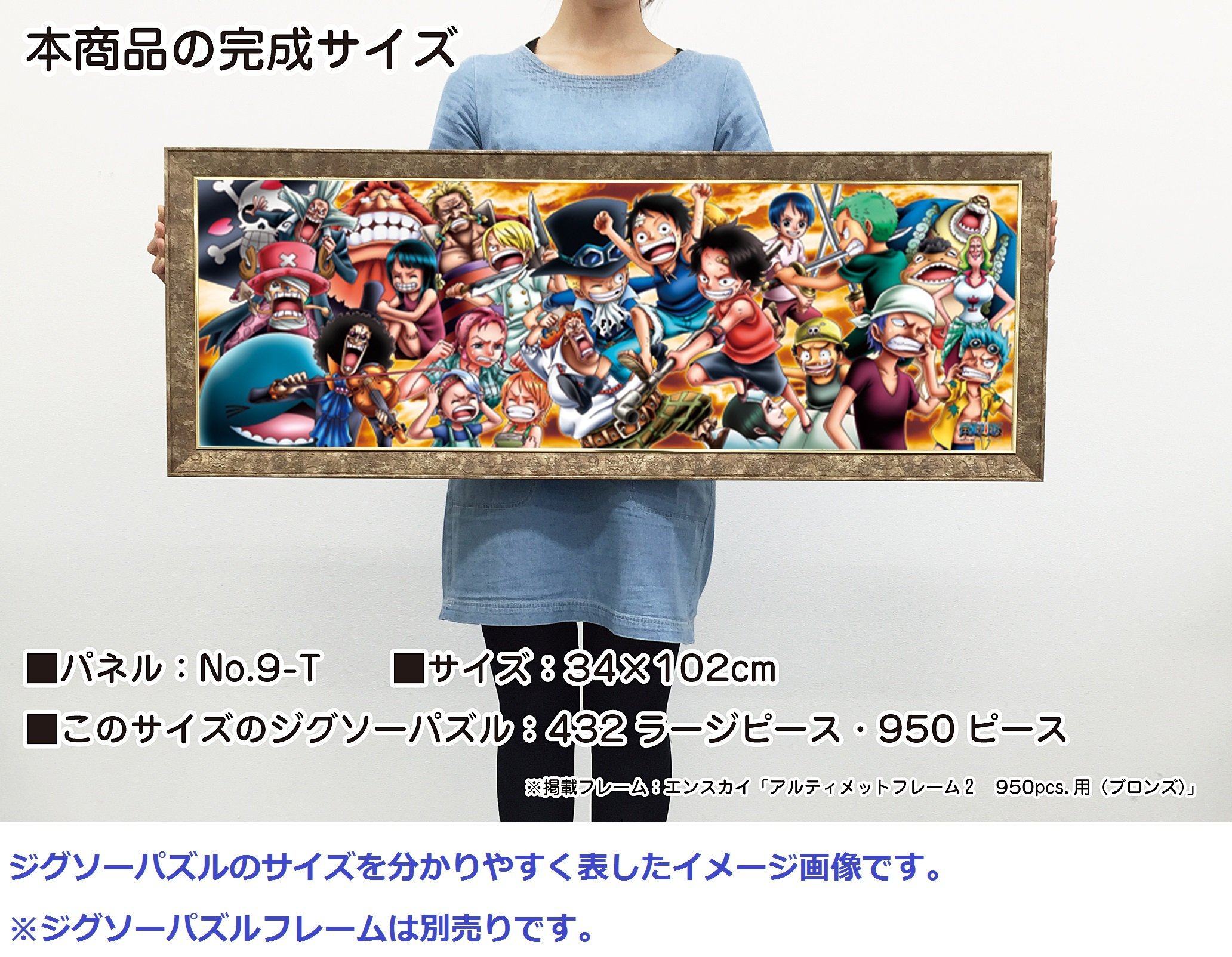 Amazon.co.jp: エンスカイ(ENSKY) ワンピース ONE PIECE CHRONICLESIII