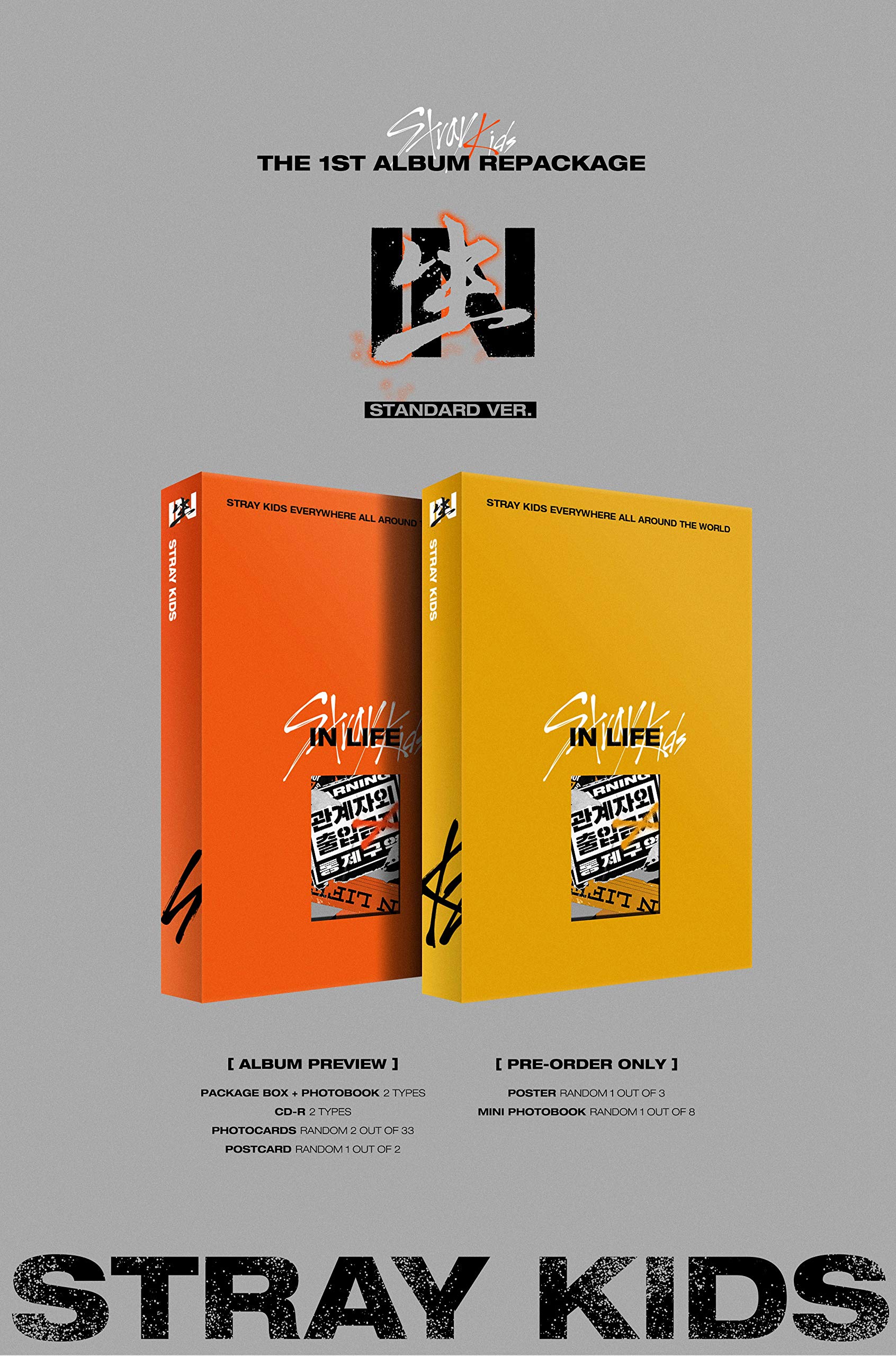 Amazon.com: STRAY KIDS - IN生 (in Life) [Standard Ver. - Random