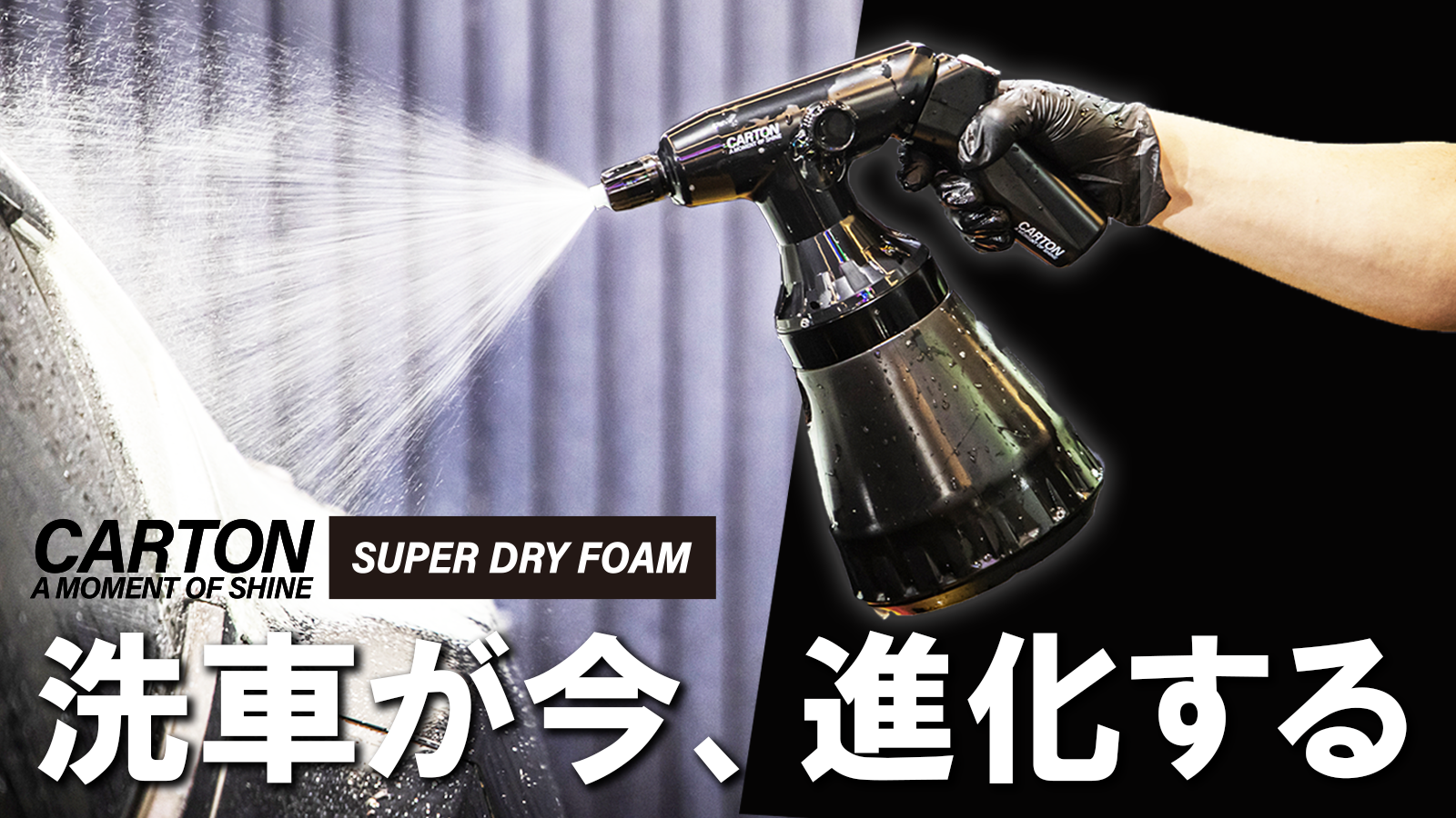 Amazon.co.jp: CARTON 【Official】 SUPER DRY FOAM 