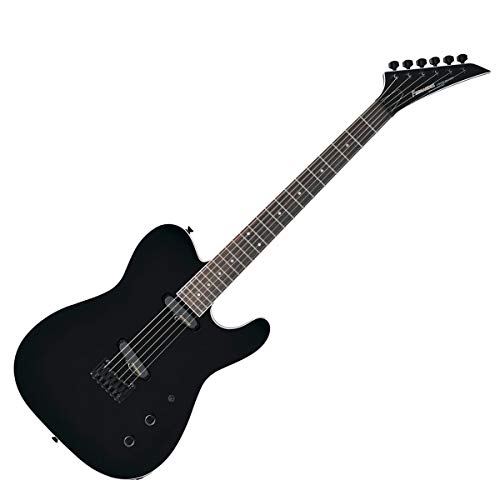 Amazon | FERNANDES フェルナンデス エレキギター TEJ-STD 2S '19 BLK
