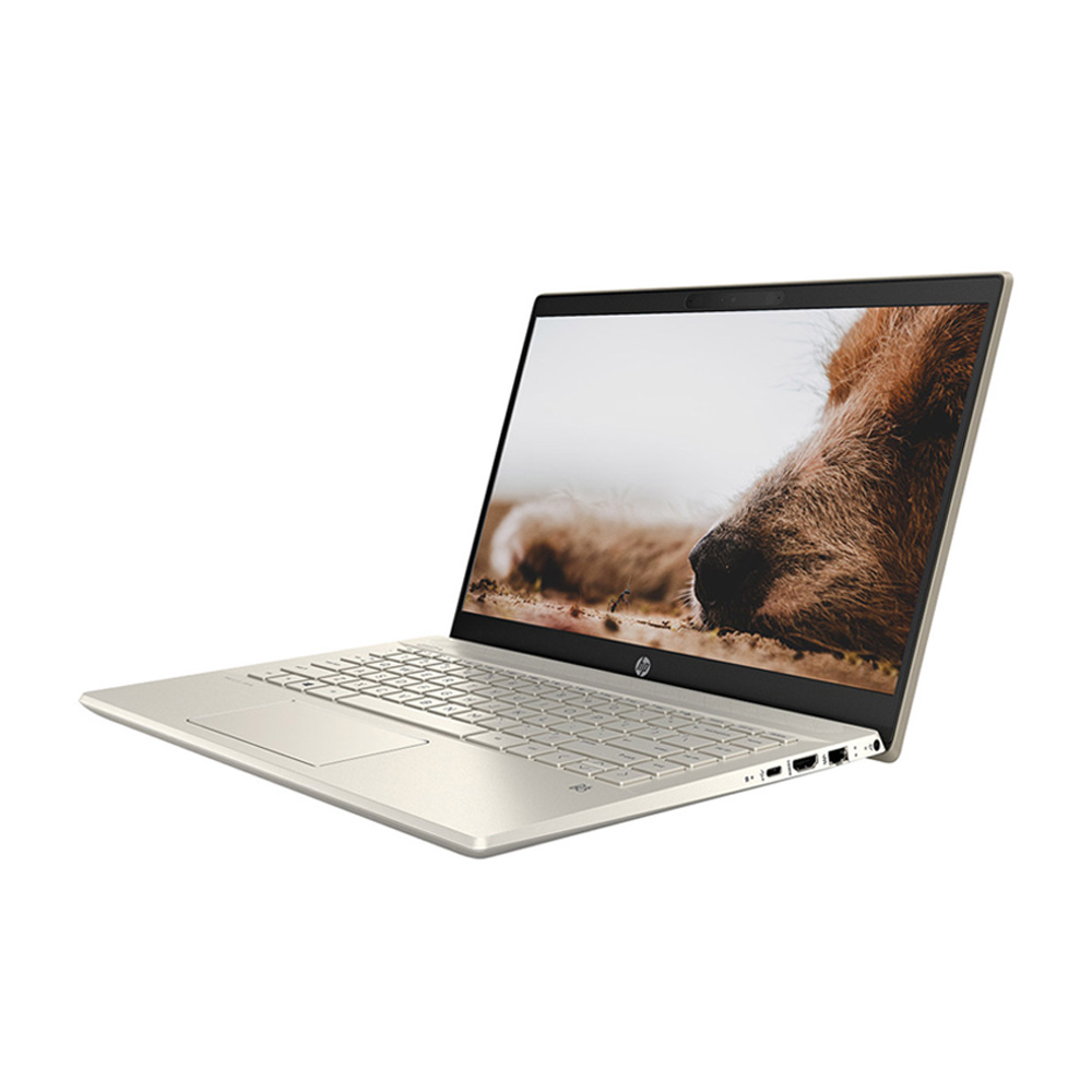 Laptop HP Pavilion 14-dv0008TU 14 inch i5 1135G7/RAM 8GB/SSD 512GB