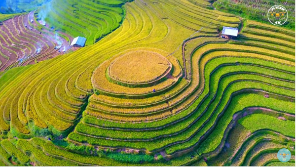 美しすぎるベトナムの棚田！ムーカンチャイが絶景すぎる！: 心残景色