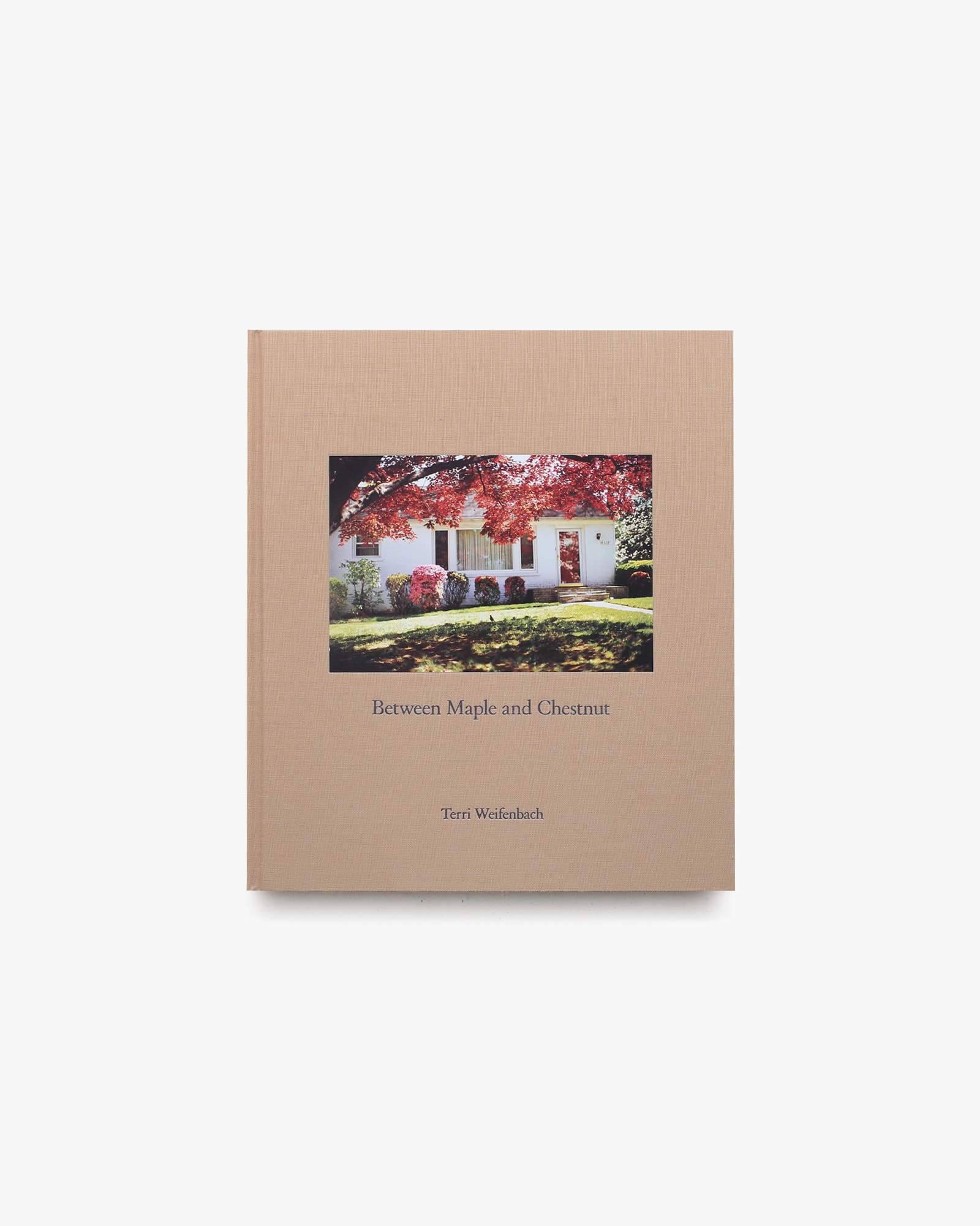 Between Maple and Chestnut | Terri Weifenbach テリ・ワイフェン