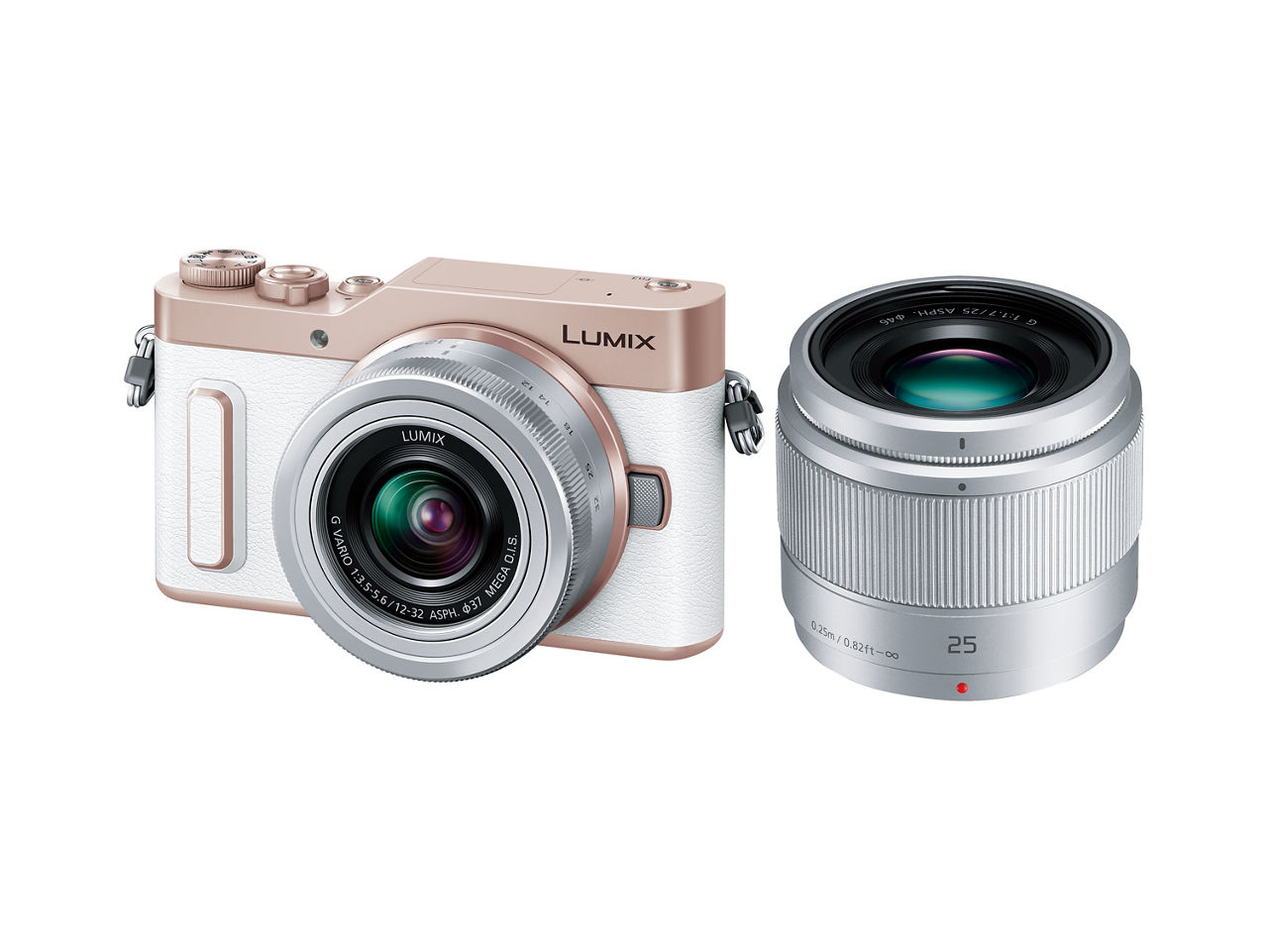 概要 デジタル一眼カメラ/ダブルレンズキット DC-GF10W | LUMIX