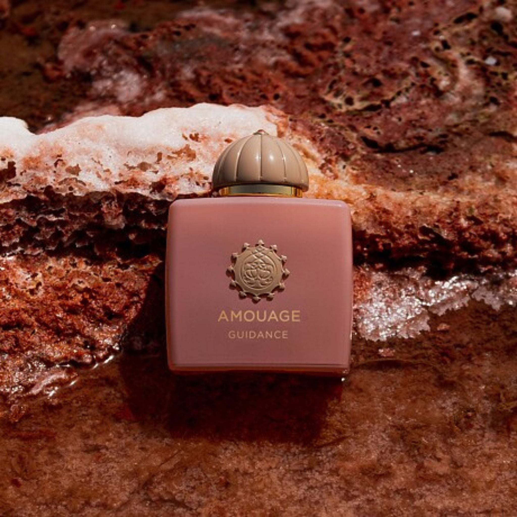 Guidance · Parfum Exquis US