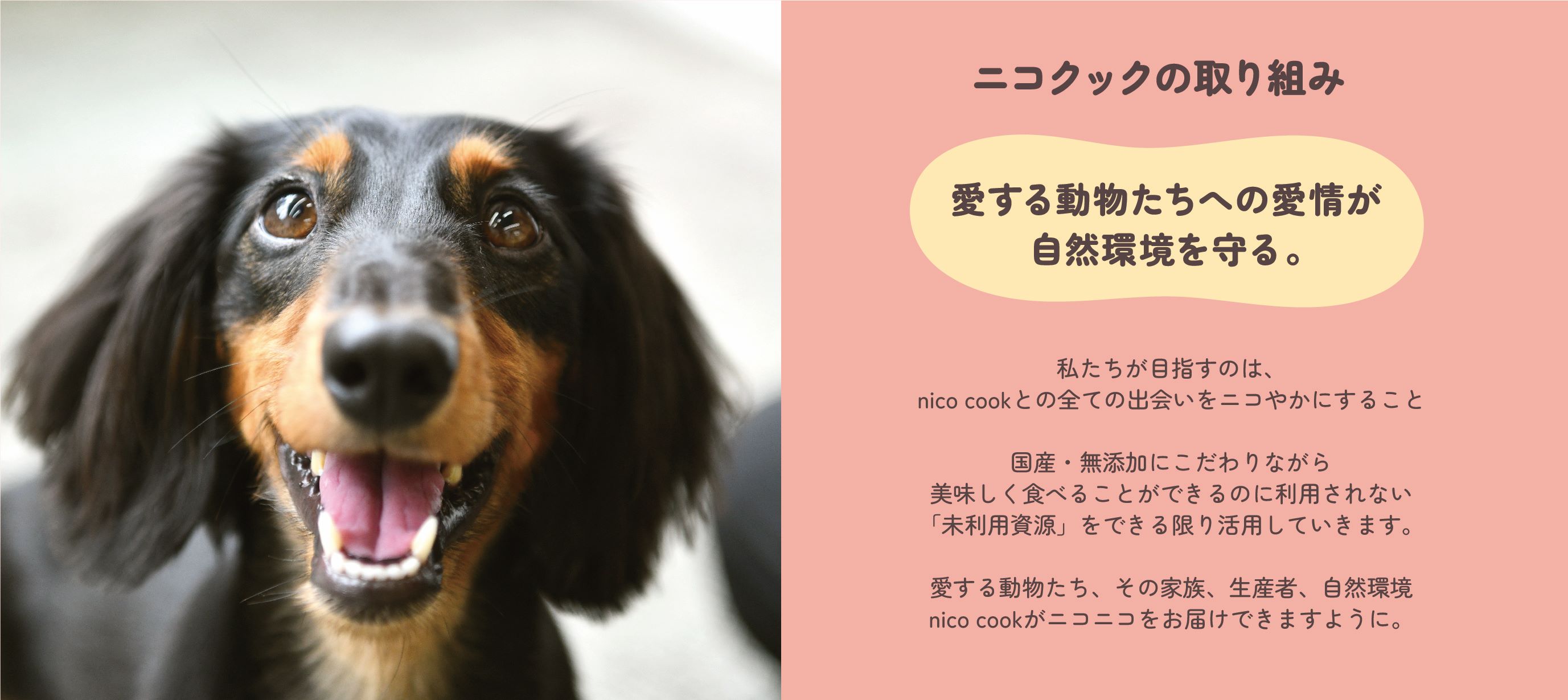 nico cook特集｜業務用トリミング用品通販ショップ【ペットワゴン】