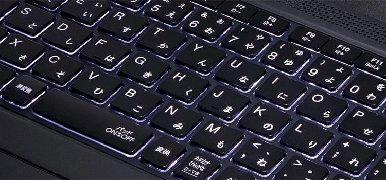 2021年夏モデル LAVIE Direct PM(X) 13.3型ワイド （モバイルパソコン