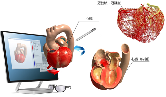 心臓の挙動を学習できる「Heart Explorer」を販売開始 : 富士通
