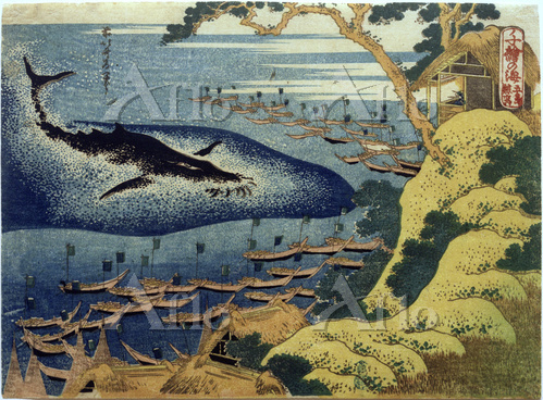 葛飾北斎「千絵の海 五島鯨突」 [87971484]のアート作品 - アフロ