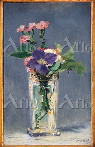 aflo_22007857.jpg
