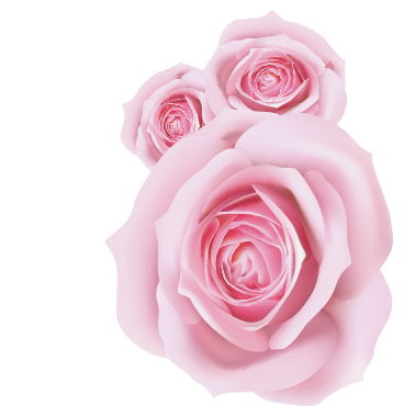 Soy Rose Oil