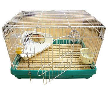 うさぎ飼育セット