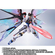 METAL ROBOT魂 ストライクフリーダムガンダム［Re:Coordinate］」専用