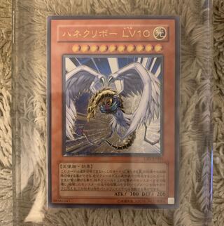 ハネクリボー LV10」の激安通販 | magi