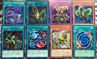 遊戯王 捕食植物 プレデタープランツ デッキパーツ8枚セット 8枚の通販