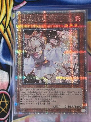 灰流うらら 25」の激安通販 | magi