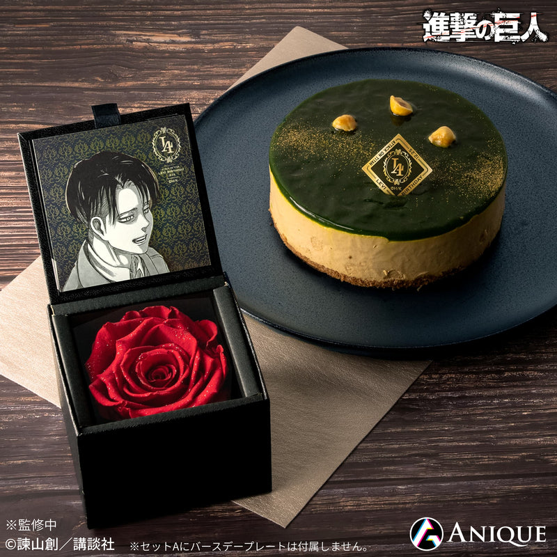 Anique Shop JAPAN