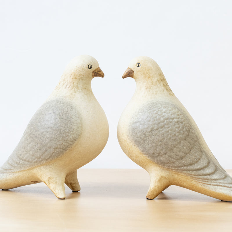 ピジョン