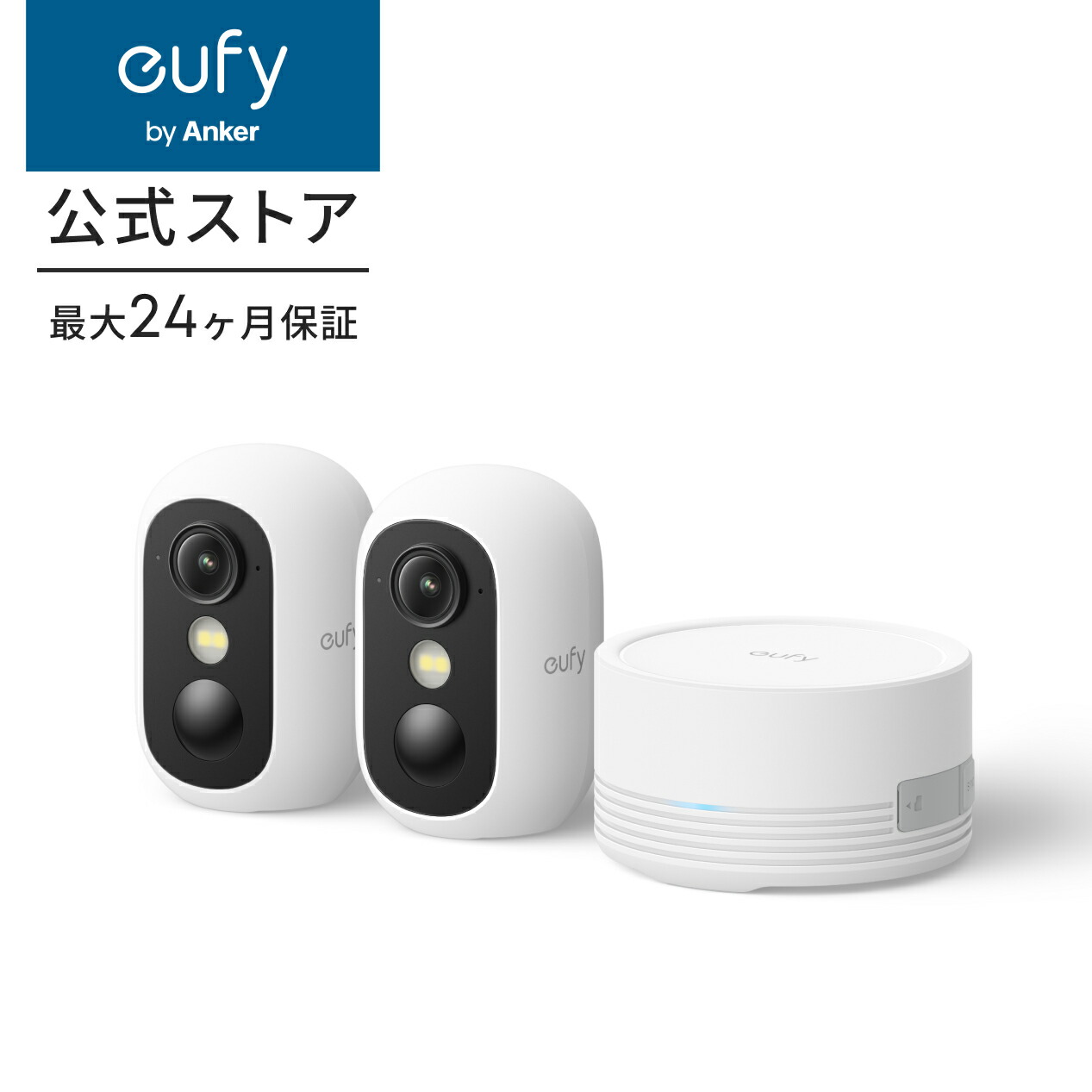 e8110_normal.jpg