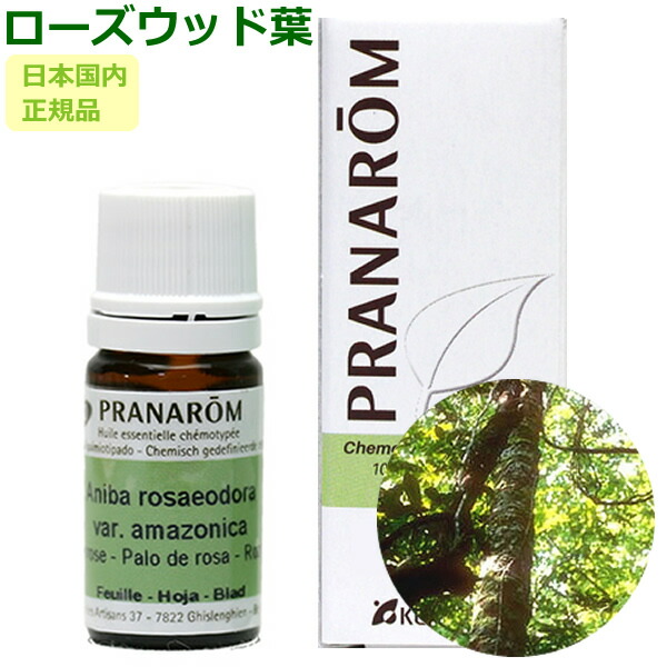 楽天市場】プラナロム ティートゥリー 10ml プラナロム アロマオイル