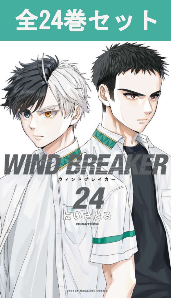 windbreaker24.jpg