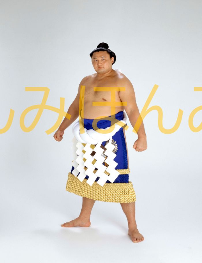 楽天市場】貴乃花光司関 優勝ミニ額 大相撲ミニ額 大相撲優勝額 平成8