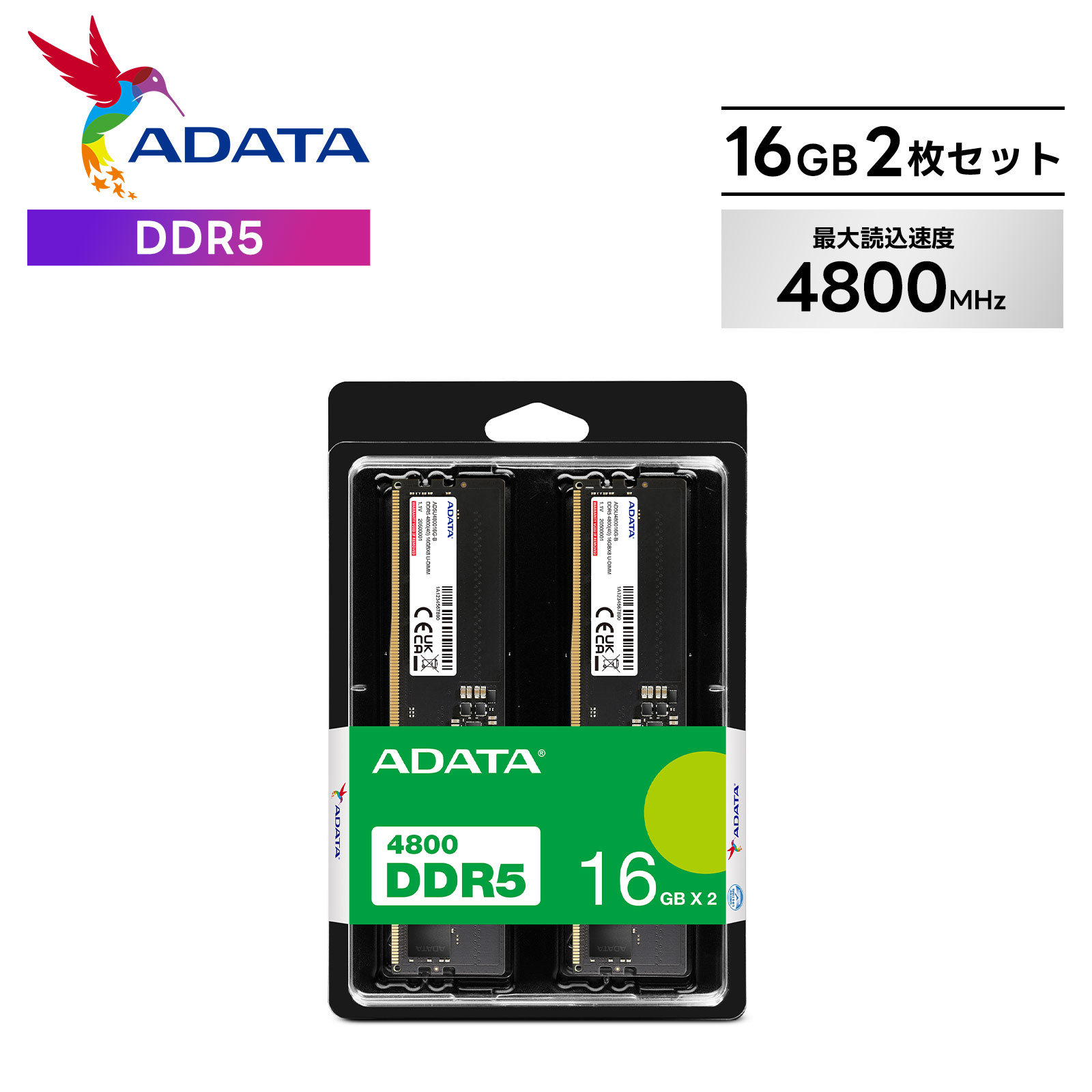 楽天市場】エイデータ DDR5-4800 32GB(16GBx2枚) U-DIMM PCメモリ
